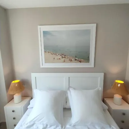 Veneziola Paraíso *