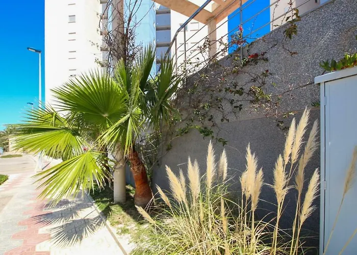 Veneziola Paraiso Apartman *